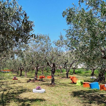 Colline Del Sole Panzió San Salvo Kültér fotó